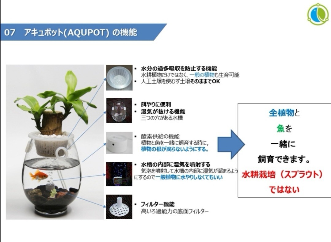 アキュポット(AQUPOT) S　金魚鉢+植木鉢　加湿と空気清浄効果!!