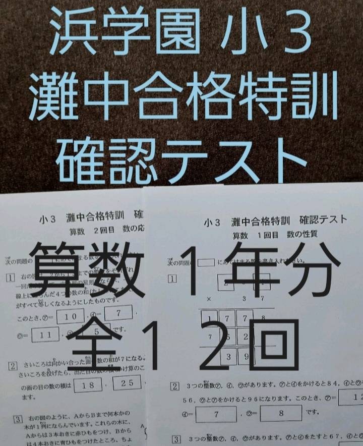 浜学園　小３　灘中合格特訓　算数　国語　確認テスト　１年分