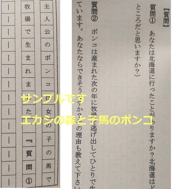 Paypayフリマ 005 21年度 読書感想文 課題図書 お助けシート 本はありません With You ウィズユー Paypayフリマ 005 21年度 読書感想文 課題図書 お助けシート 本はありません With You ウィズユー