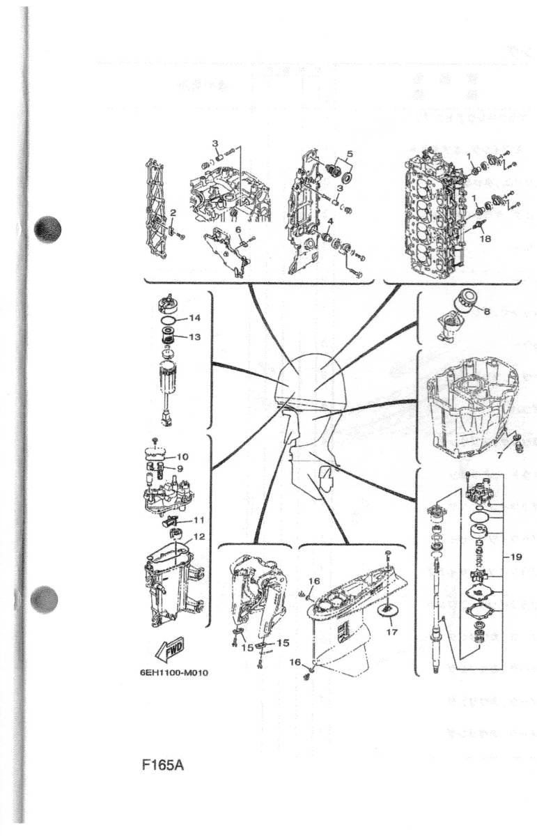 YAMAHA　ヤマハ ４サイクル船外機 　F１６５A　パーツカタログ（パーツリスト）中古未使用に近い　_画像4