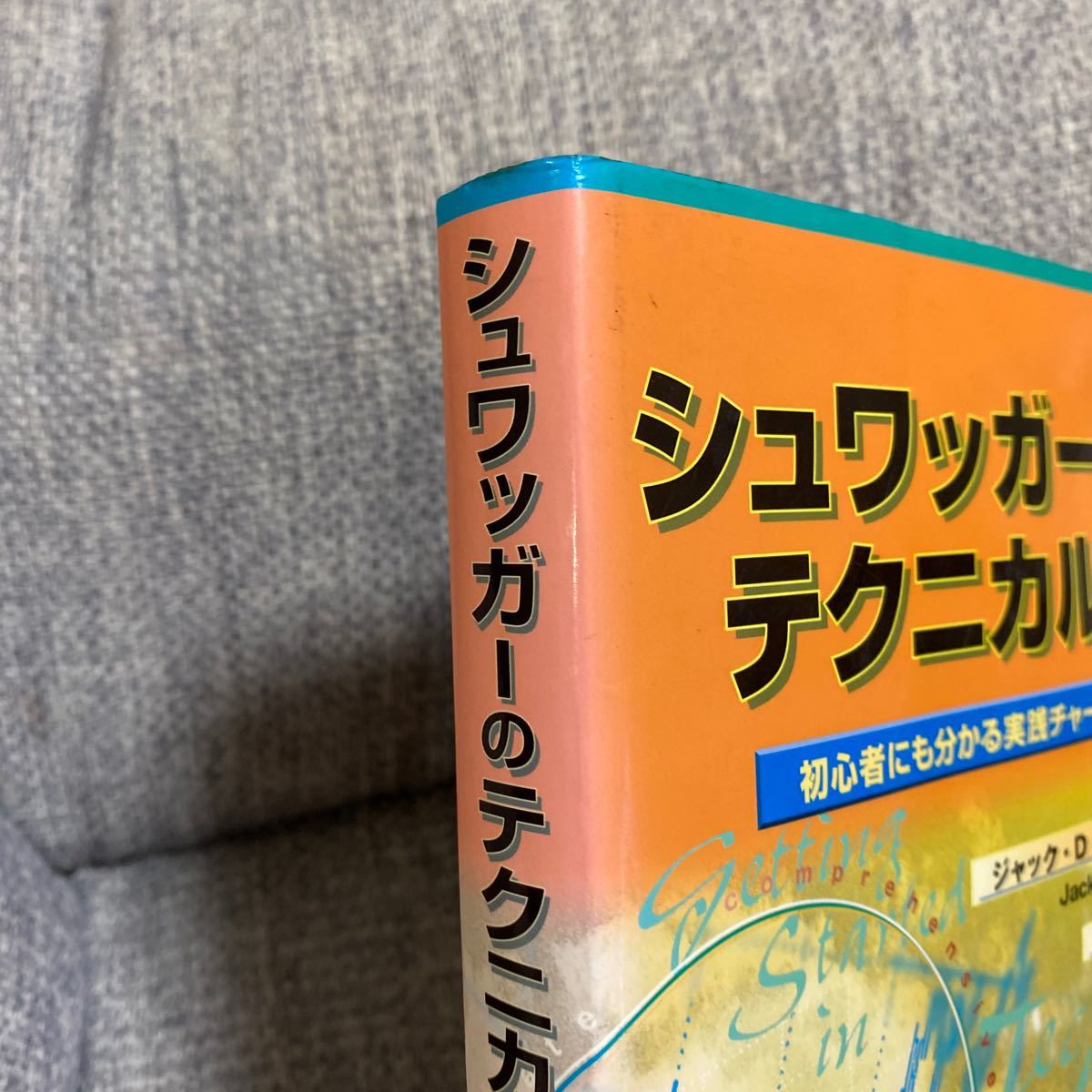 シュワッガーのテクニカル分析 初心者にも分かる実践チャート入門／ジャックＤ．シュワッガー (著者) 森谷博之 (訳者)