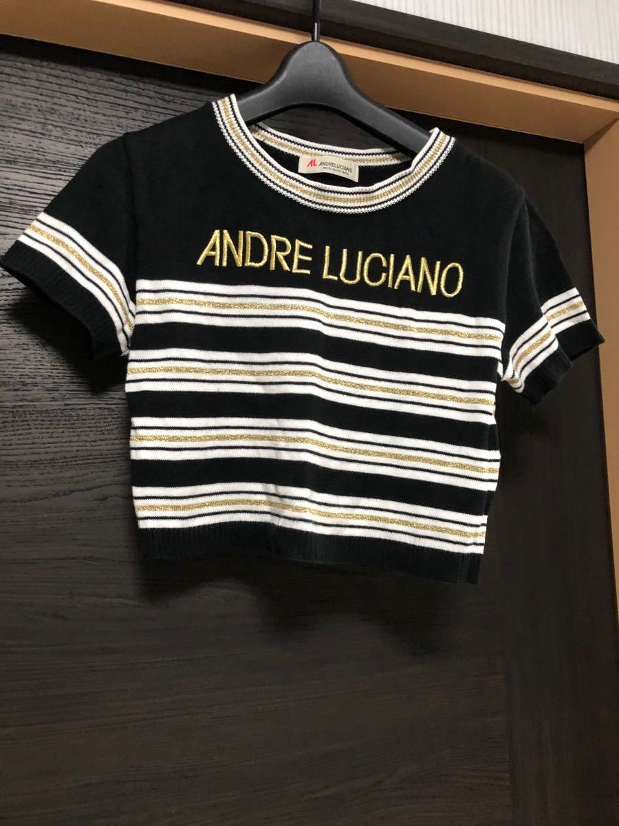 アンドレルチアーノ ANDRE LUCIANO ニット 半袖 へそ出し Tシャツ ボーダー ブラック ゴールド