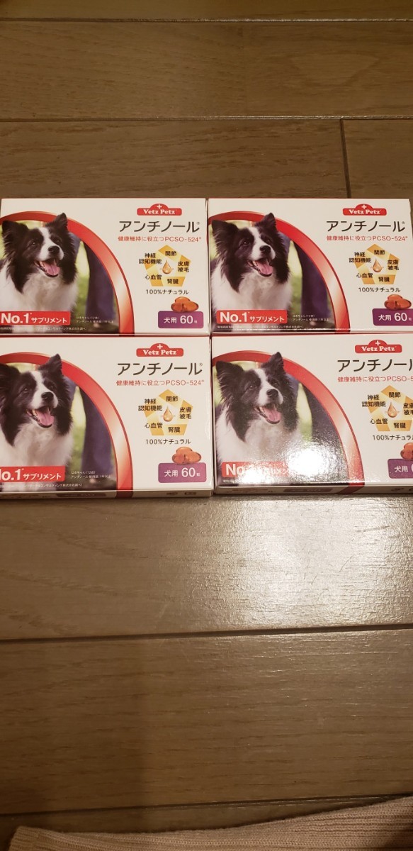 い出のひと時に とびきりのおしゃれを アンチノール60粒 4箱 犬 Sutevalle Org い出のひと時に とびきりのおしゃれを アンチノール60粒 4箱 犬 Sutevalle Org