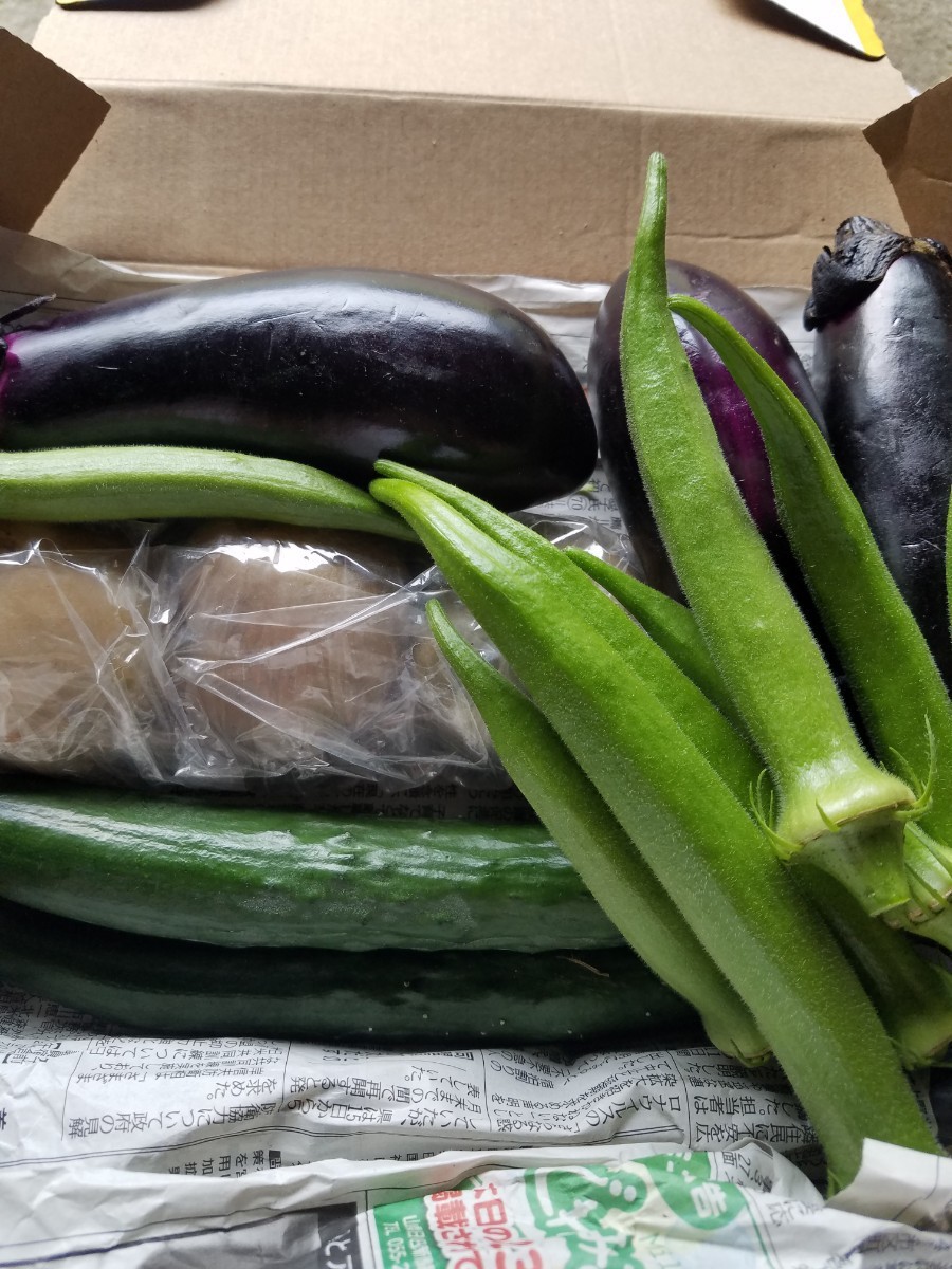 Paypayフリマ 野菜 セット 晩酌のあてに Paypayフリマ 野菜 セット 晩酌のあてに