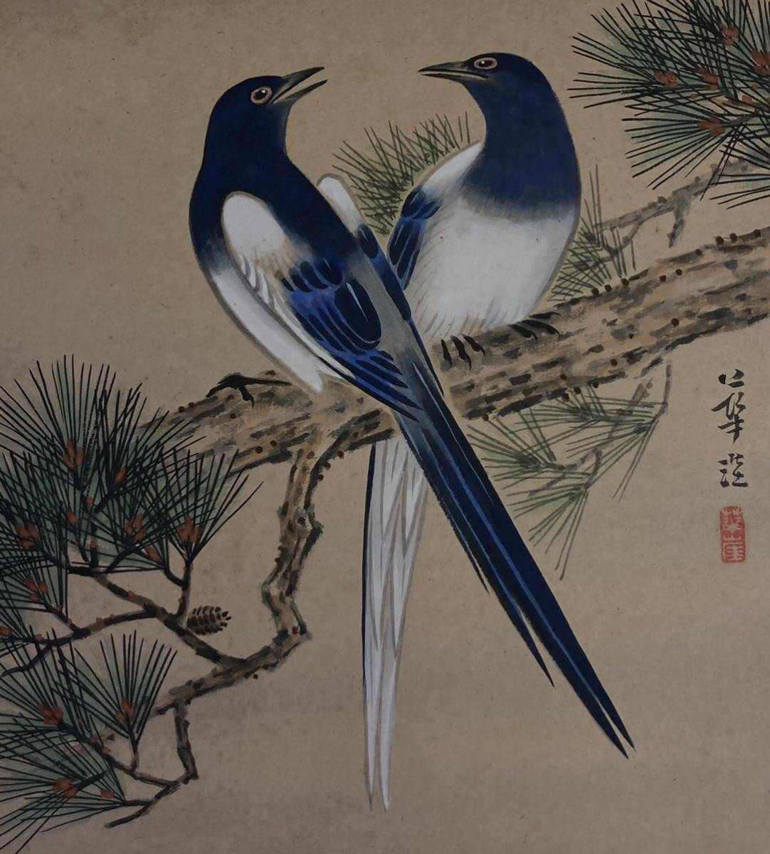 【A1878】河野華崖 日本画 色紙絵 「松の鳥」_画像1