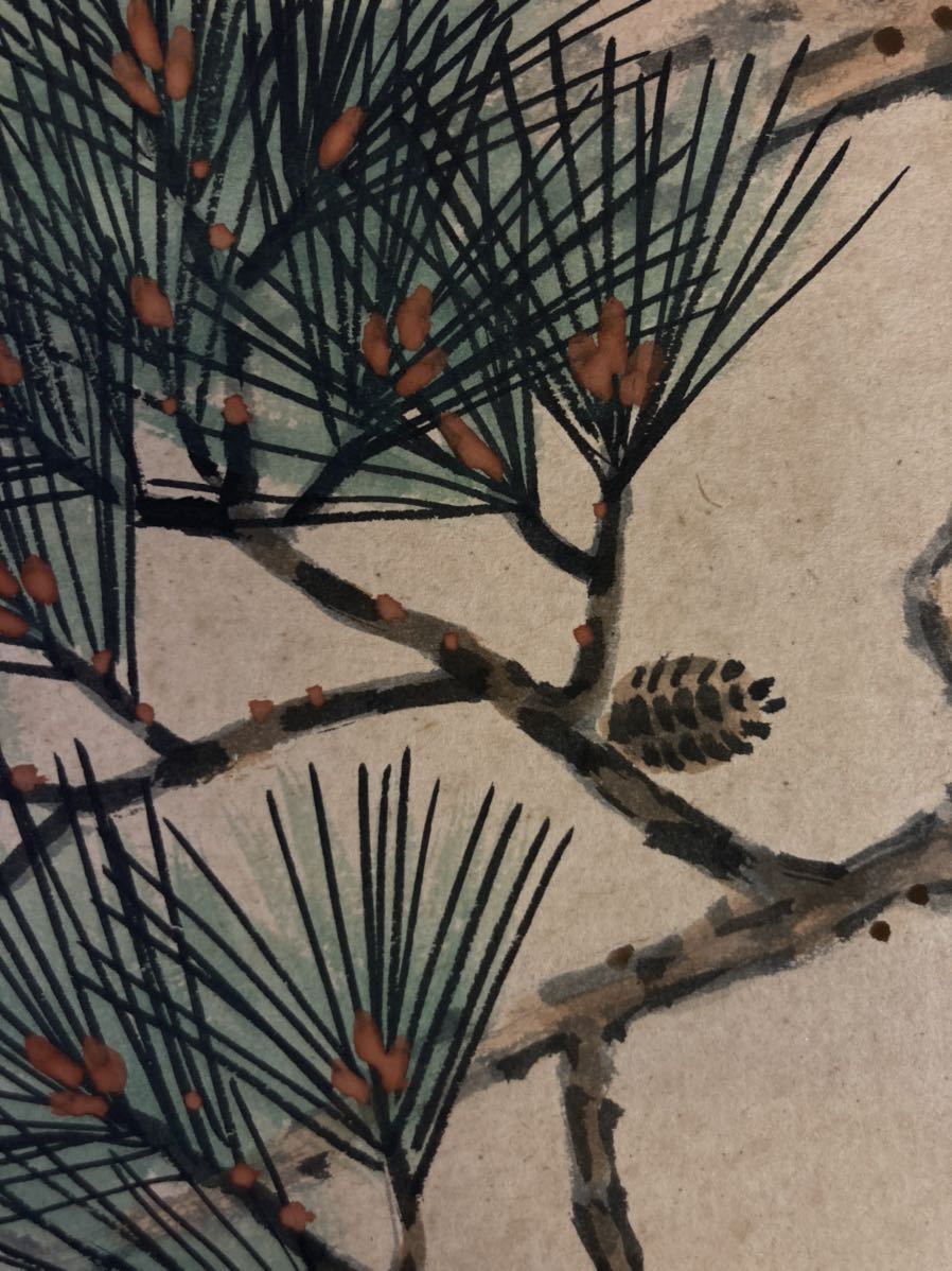 【A1878】河野華崖 日本画 色紙絵 「松の鳥」_画像6