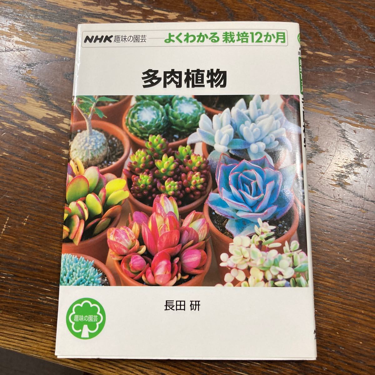 Paypayフリマ Nhk趣味の園芸 よくわかる栽培12か月 多肉植物 長田 研 Paypayフリマ Nhk趣味の園芸 よくわかる栽培12か月 多肉植物 長田 研