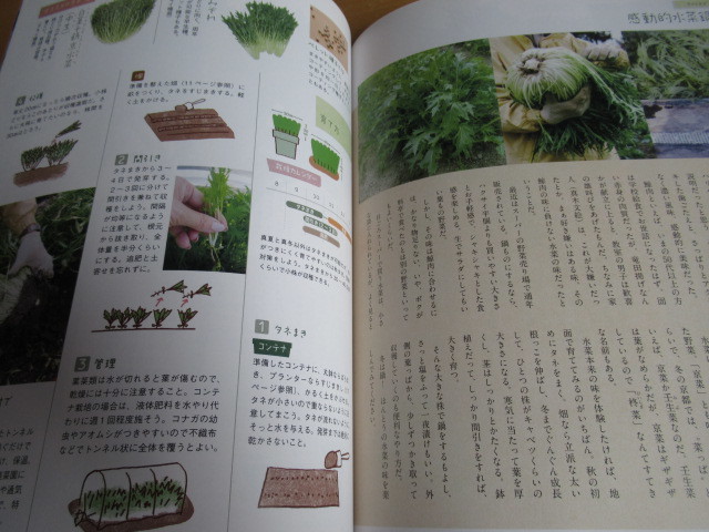 o....... длина овощи рука . камень .hiroyuki подлинный дерево документ . еда .... поэтому. максимальный овощи ... путеводитель рождение!