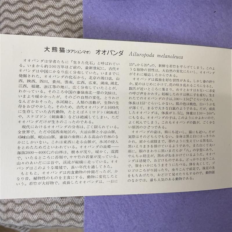 A#19736A 外国切手おまとめ 中華人民共和国60周年記念切手 深ヤン経済特区設立20周年切手 オオパンダ6種 アメリカ切手 現状品_画像4
