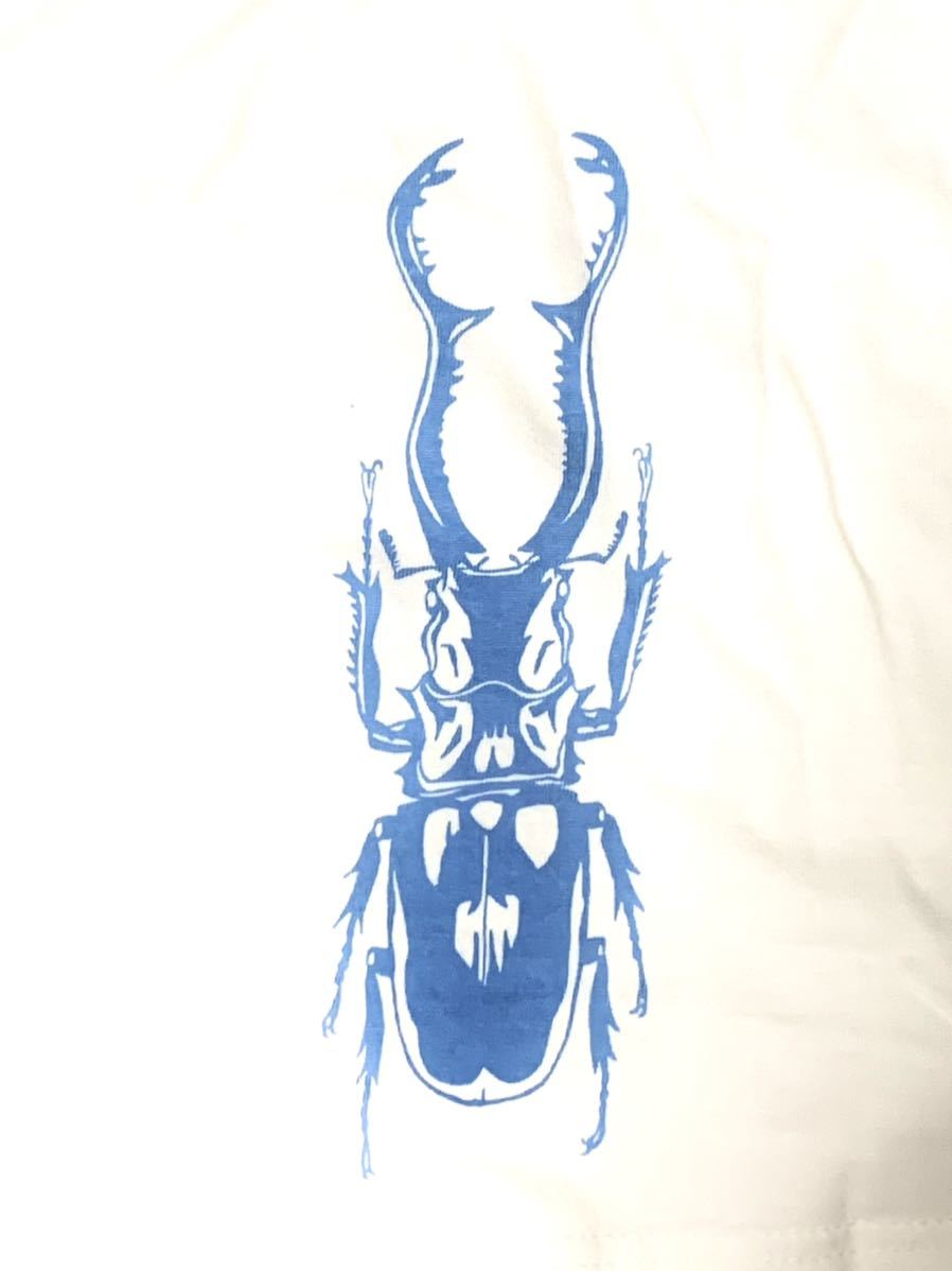  рогач девушка короткий рукав футболка XL размер aroundaglobe насекомое . насекомое Insect insectsgi черновой . Prosopocoilus inclinatus 