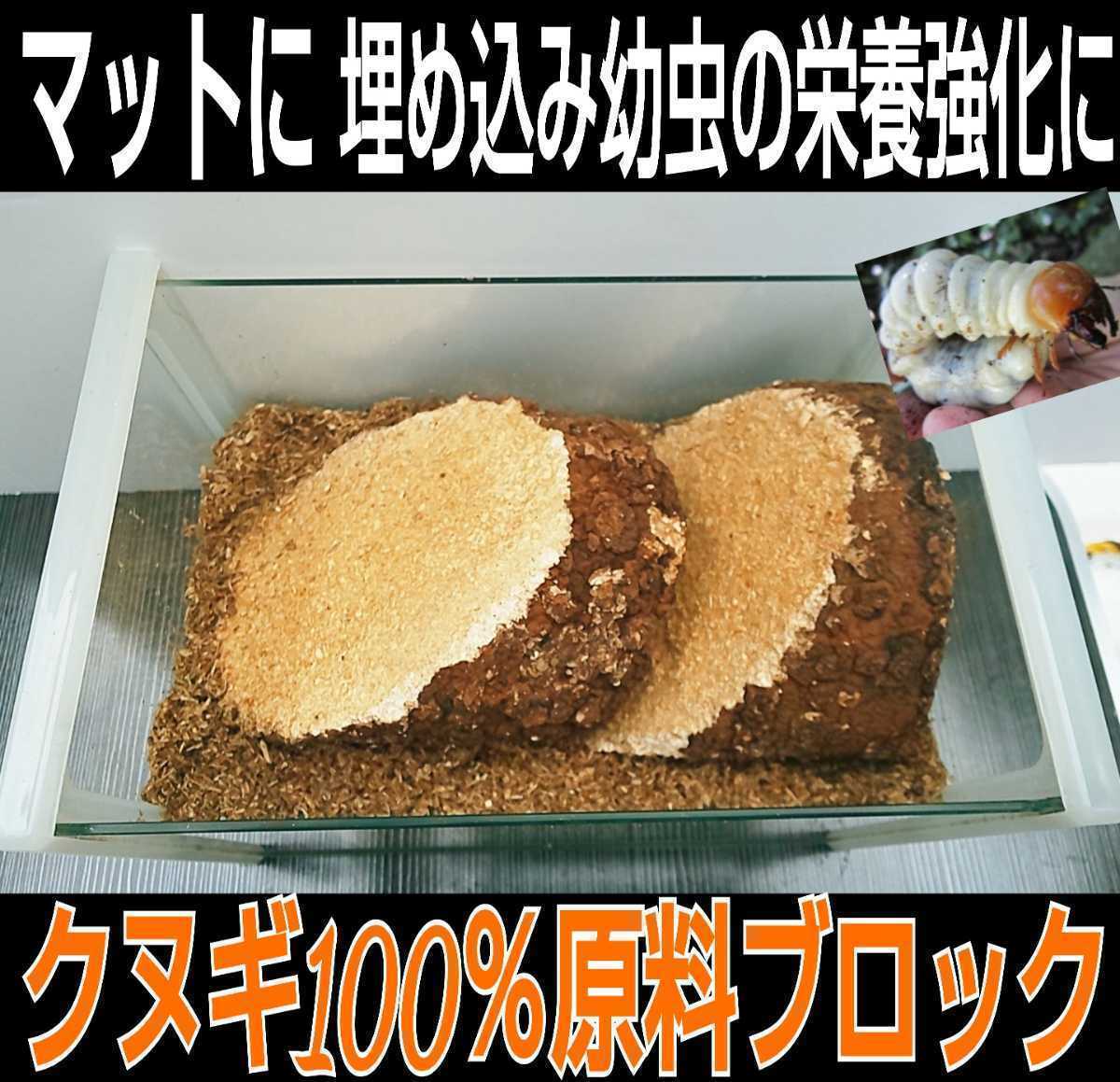 椎茸廃菌床ブロック☆発酵マットに埋め込むと栄養強化になりカブト幼虫がサイズアップ！クワガタ幼虫の餌、産卵木の代わりに！クヌギ100％_画像10