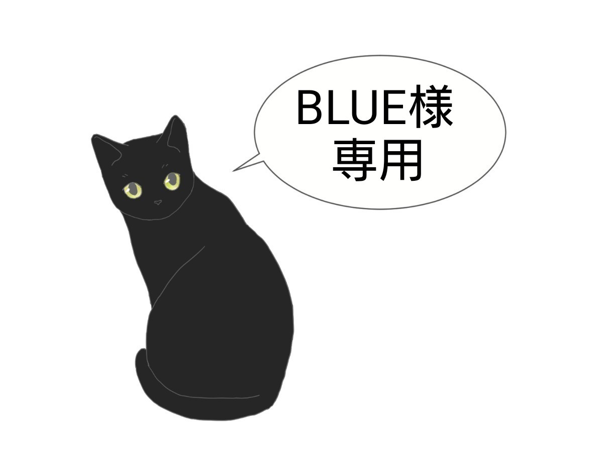 BLUE様専用｜Yahoo!フリマ（旧PayPayフリマ）