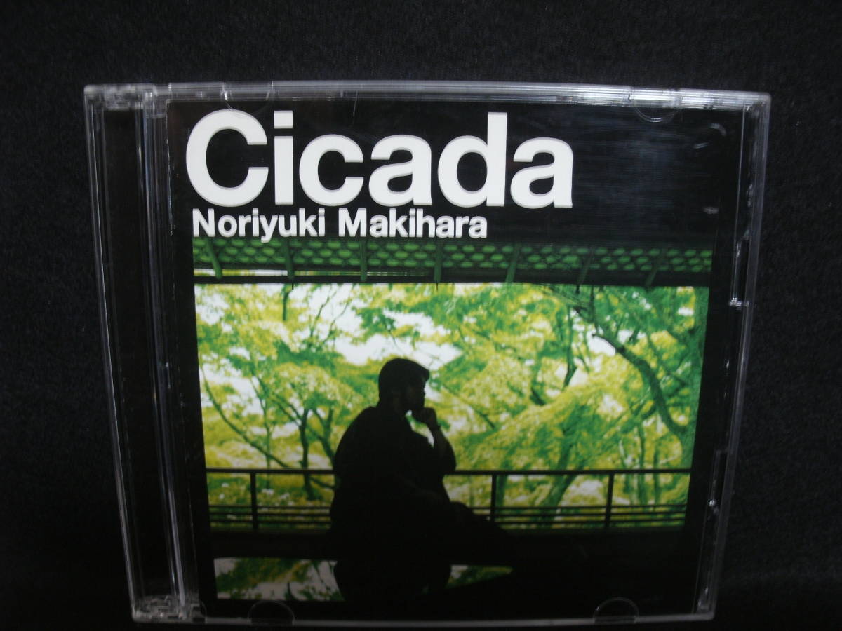 ●送料無料●中古CD● CD+8cmCD / 槇原敬之／Ｃｉｃａｄａ 初回盤 / NORIYUKI MAKIHARA_画像1