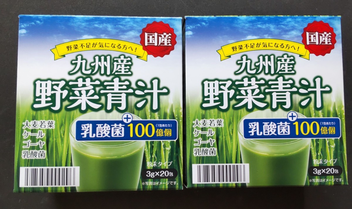 大きな取引 6箱 120包 九州産野菜青汁 乳酸菌100億個 sipp.dilmil