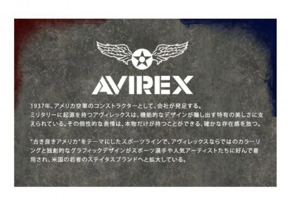  стоимость доставки 0 AVIREX Avirex tiktita-DICTATOR свободный блокировка катушка средний cut спортивные туфли Biker AV2278 RED×BLACK-25.0