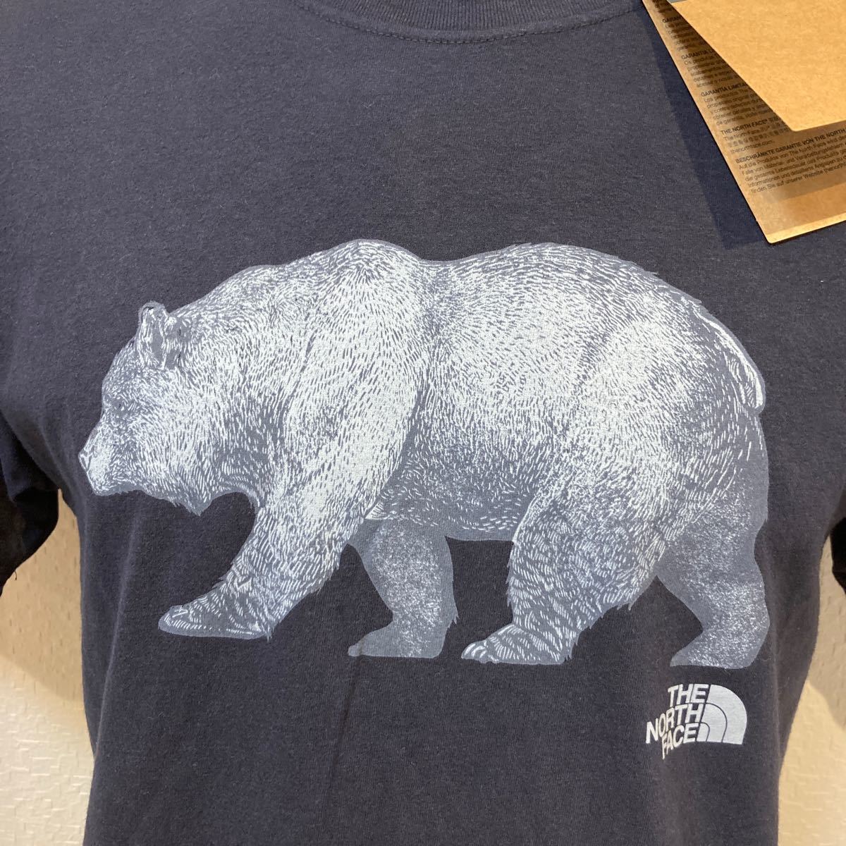 M新品THE NORTH FACEザノースフェイスTシャツ半袖日本未発売BEAR