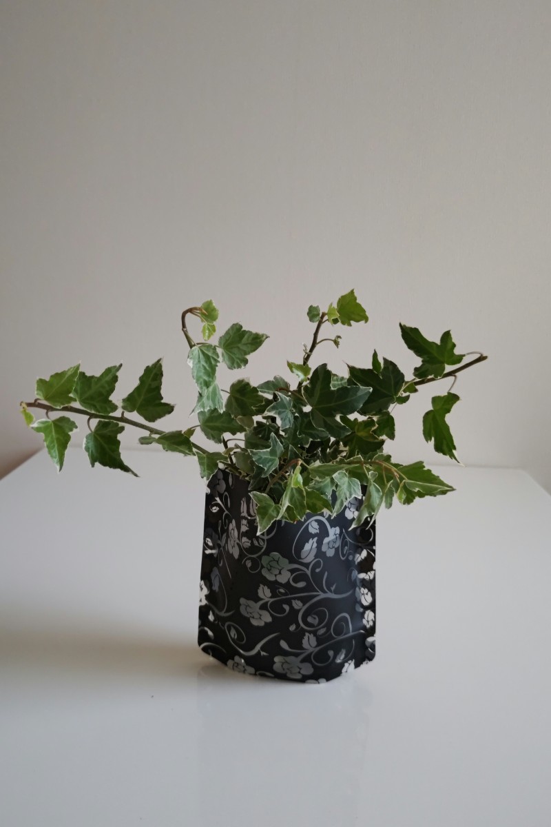 Paypayフリマ アイビー 観葉植物 インテリア 小物 飾り グリーン 癒し 花びん 花器 送料無料