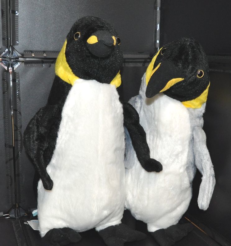 大きい ペンギンぬいぐるみ 全2種 アニマルワールド 大きさ約50cm 動物 動物 売買されたオークション情報 Yahooの商品情報をアーカイブ公開 オークファン Aucfan Com