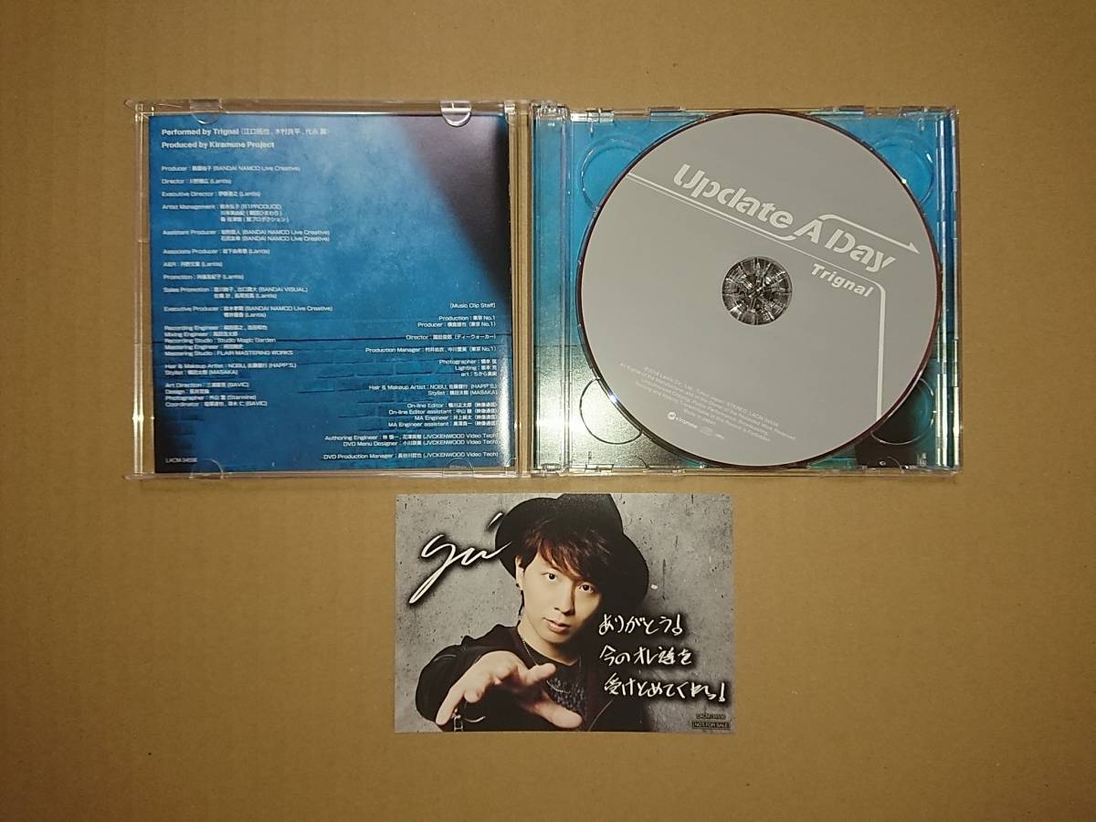 CD+DVD Trignal (.... дерево . хорошо flat плата . крыло ) / Update A Day роскошный запись 