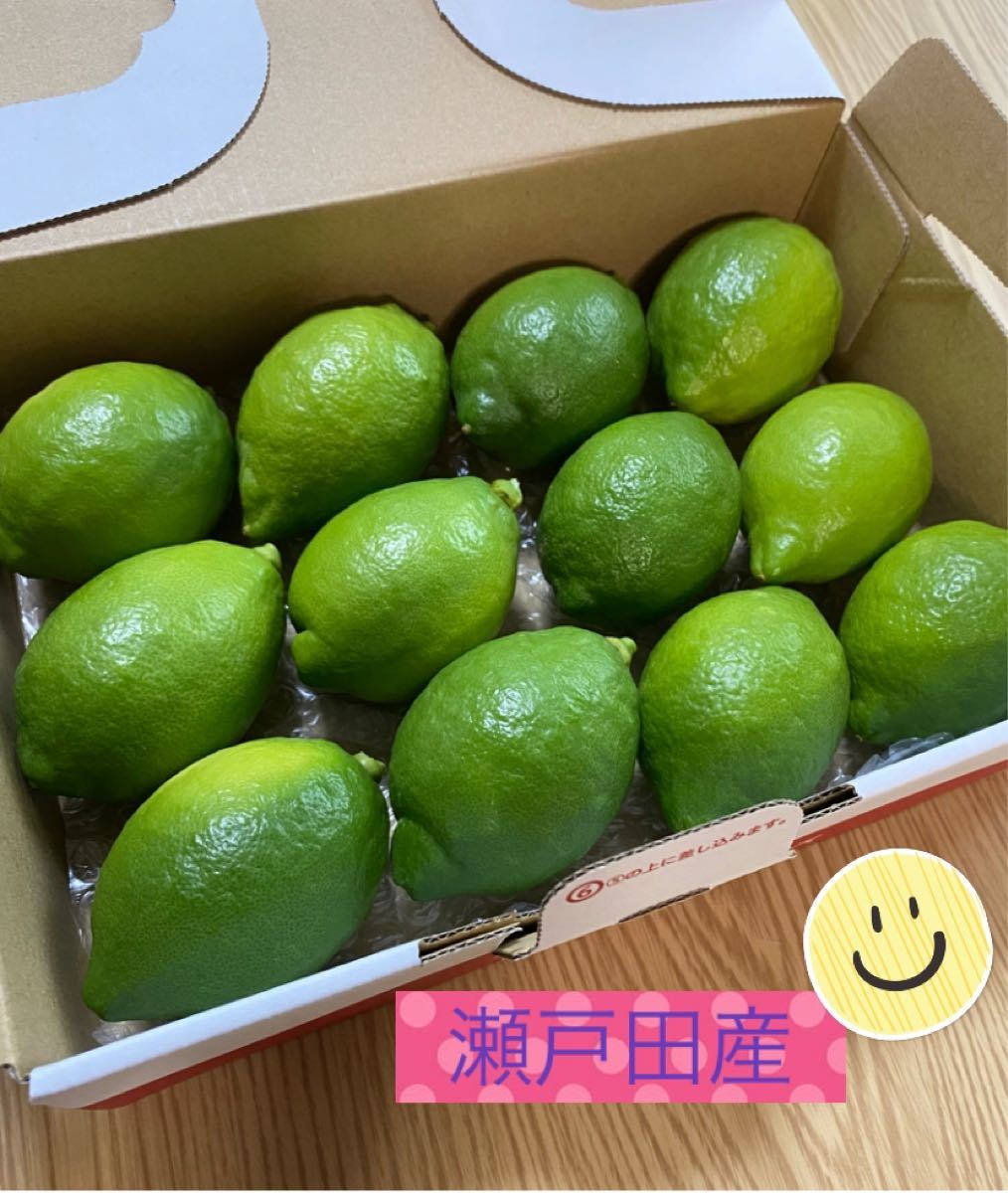 日本製 国産瀬戸田レモン農薬不使用14