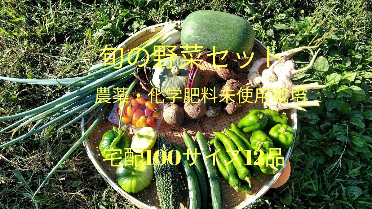 PayPayフリマ｜おまかせ野菜セット100サイズ12品 無農薬