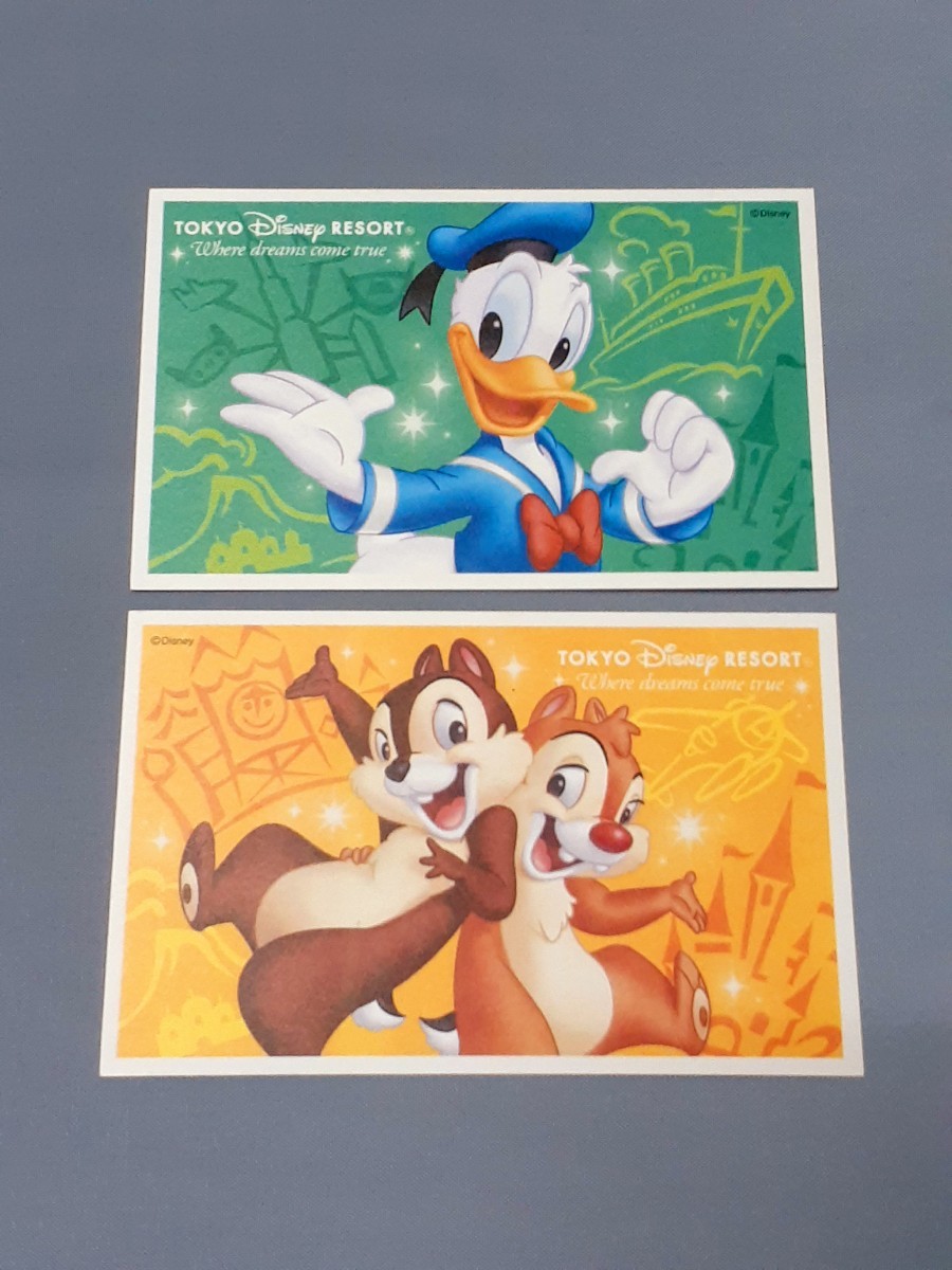 Paypayフリマ 東京ディズニーリゾート スポンサーパスポート 2枚 Paypayフリマ 東京ディズニーリゾート スポンサーパスポート 2枚