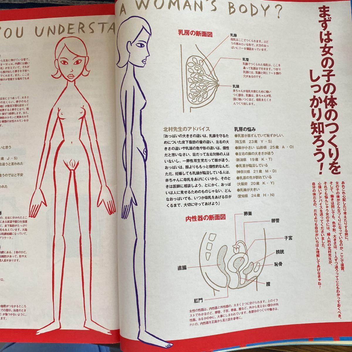 きれいになりたい 女の子の体と心大特集号 匿名発送