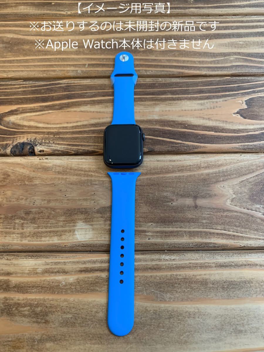 新しいブランド スポーツバンド Apple Watch カプリブルー
