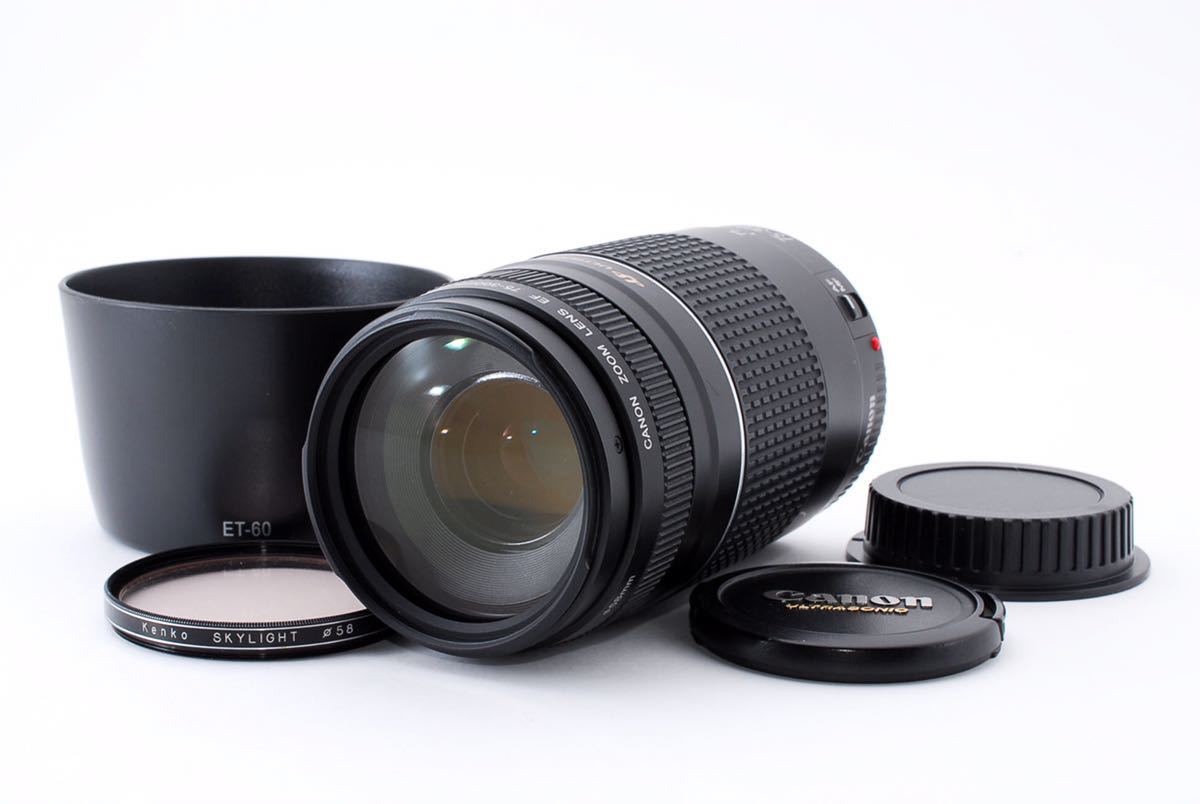 キャノン Canon EF 75-300mm F4-5.6 III USM AF 望遠ズームレンズ EF