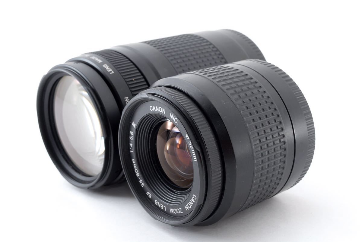 キャノン デジタル一眼レフカメラCanon EOS 9000D 標準&望遠ダブルレンズセットCanon EF 35-80mm F4-5.6Ⅲ Canon EF 75-300mm F4-5.6 II_画像9