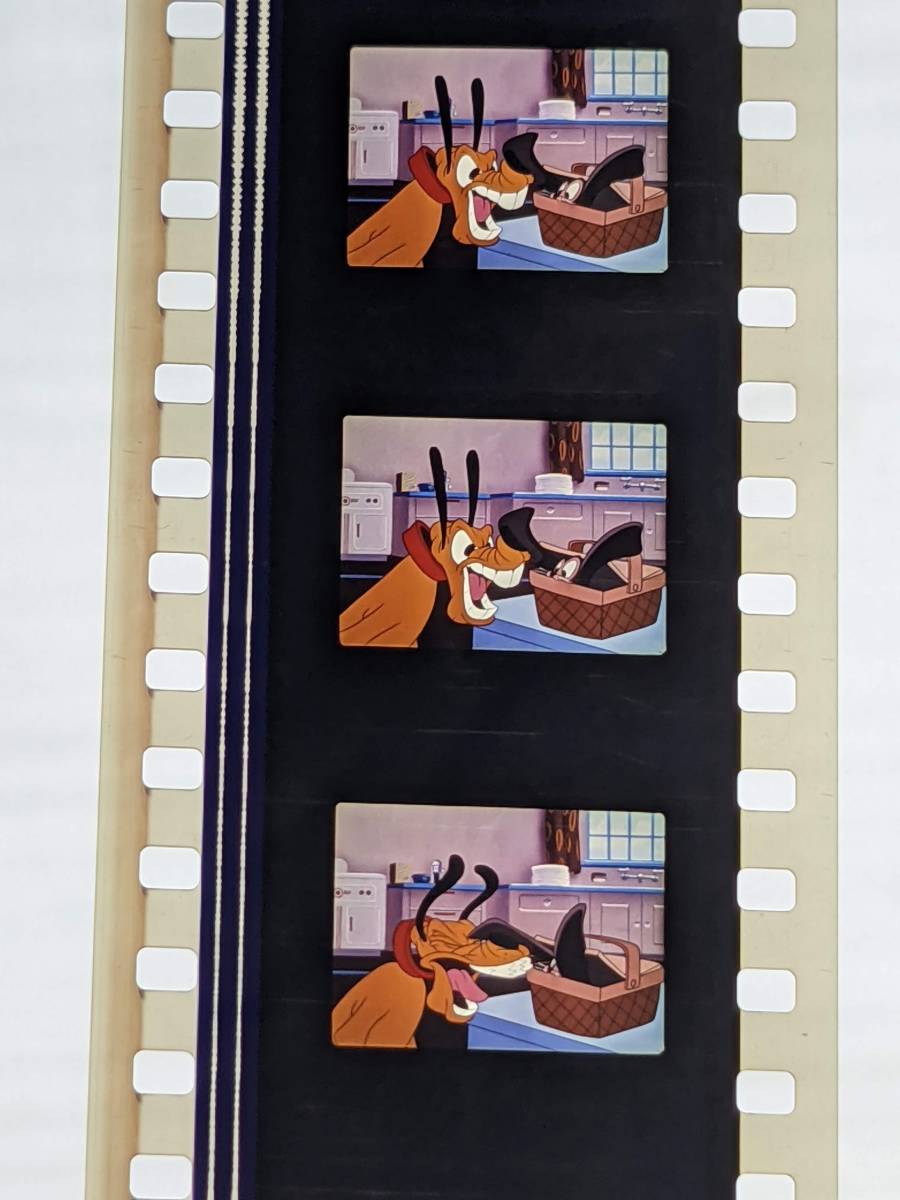 35ミリ「ミッキーとあざらし」(1948年) フィルム ディズニー 短編映画 4