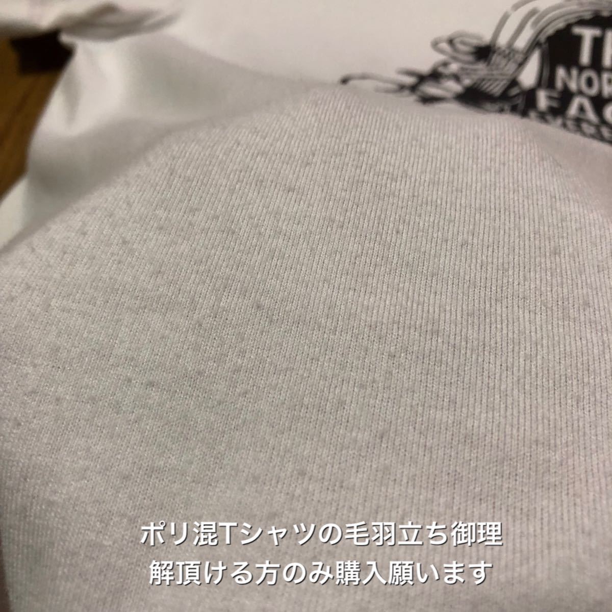 細身Lサイズ！ザ ノースフェイス 古着半袖Tシャツ 白 ポリ70%毛羽立ち有り the north face NT31445