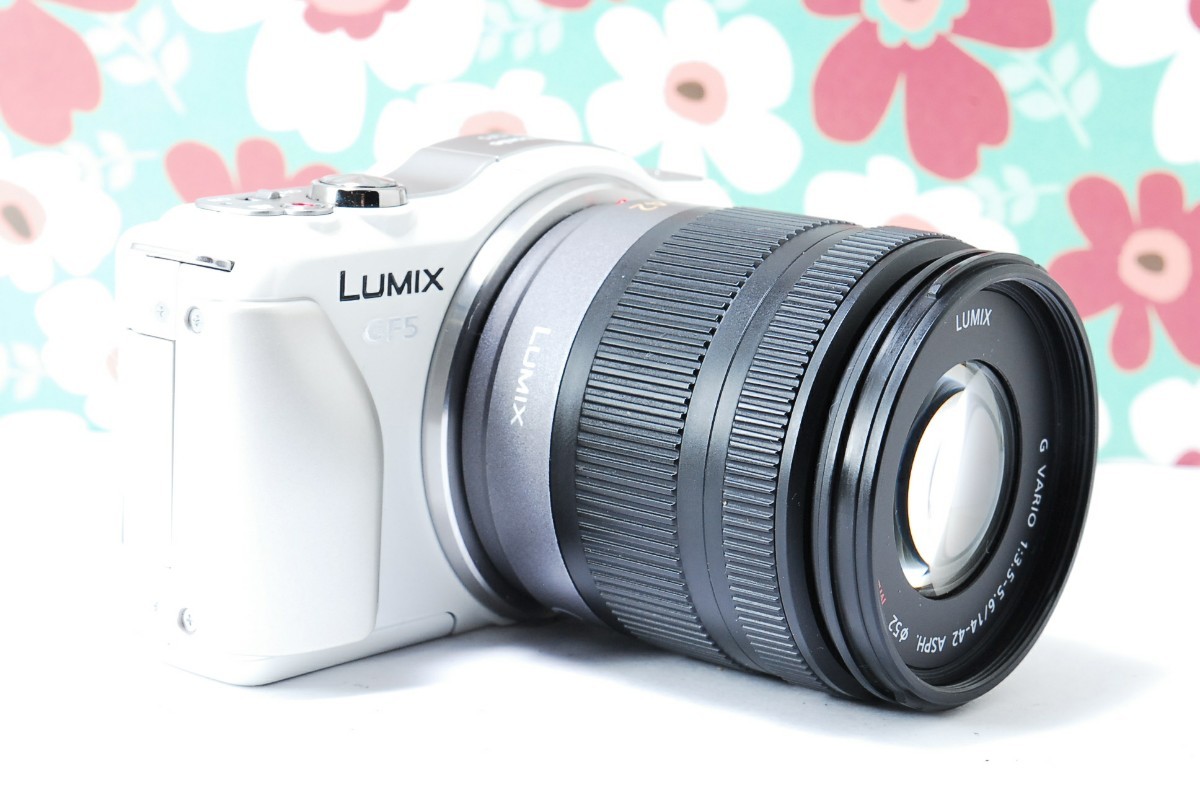 ❤お散歩カメラ❤動画撮影❤LUMIX DMC-GF5❤スマホに送れる❤