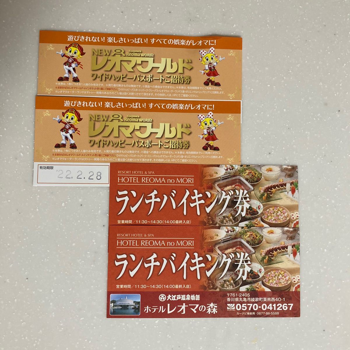 定番 3セット レオマワールド ワイドハッピーパスポート ランチ