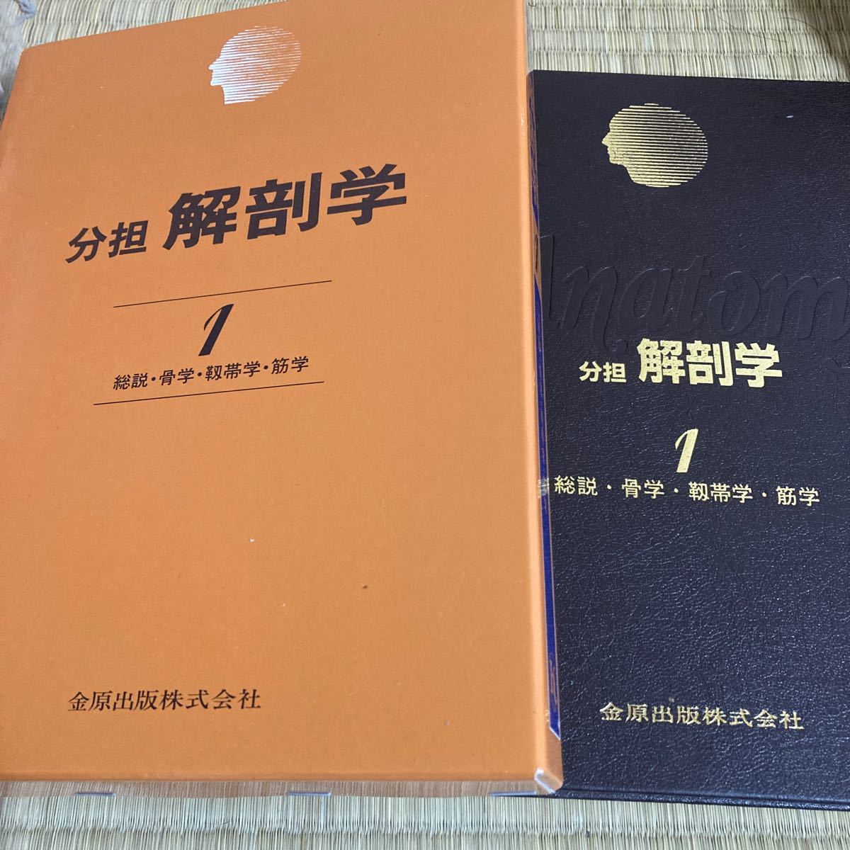 解剖学 分担 1/小川鼎三/森於菟/森富