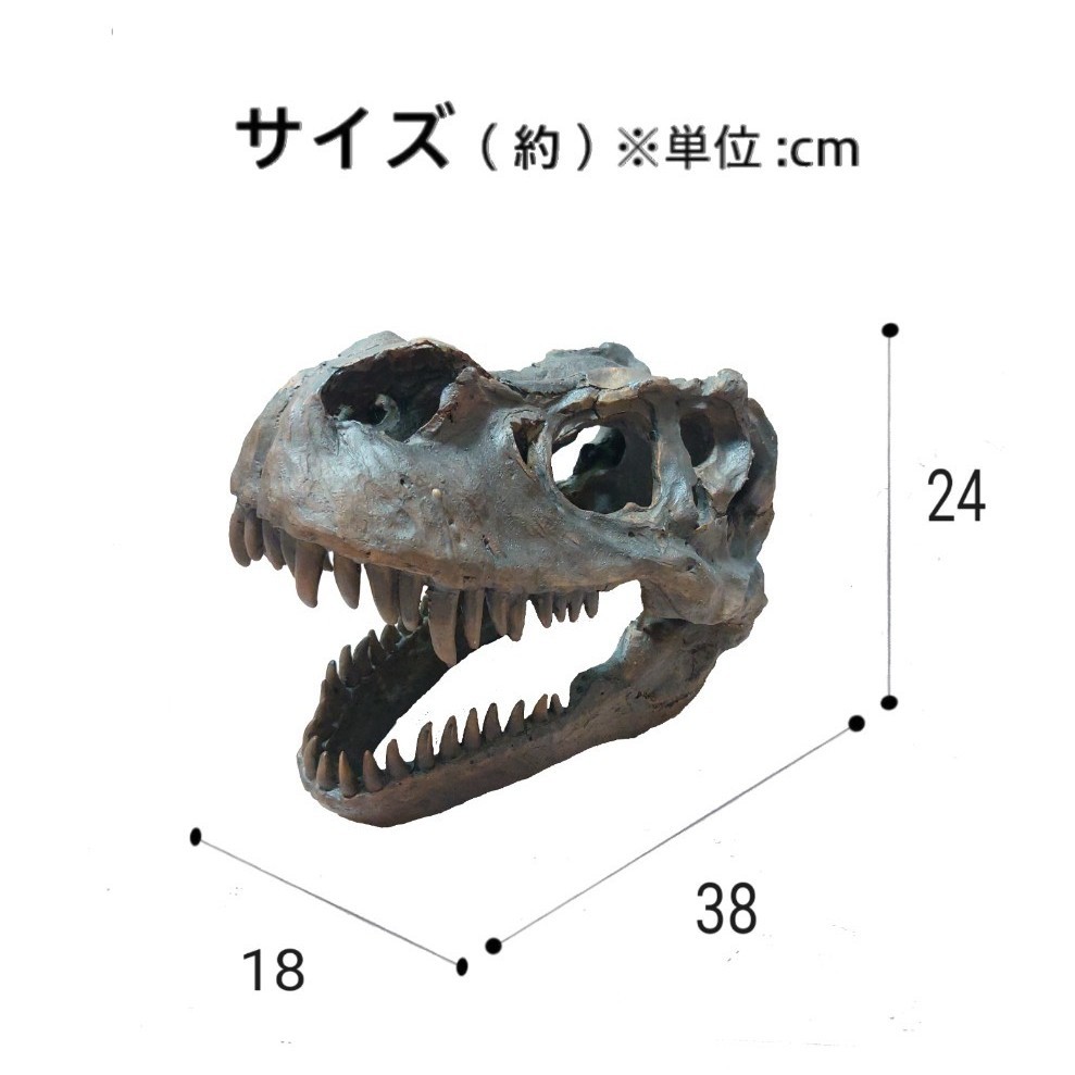 希少 ティラノサウルス スカル 頭骨 化石 レプリカ|Yahoo 希少 ティラノサウルス スカル 頭骨 化石 レプリカ|Yahoo