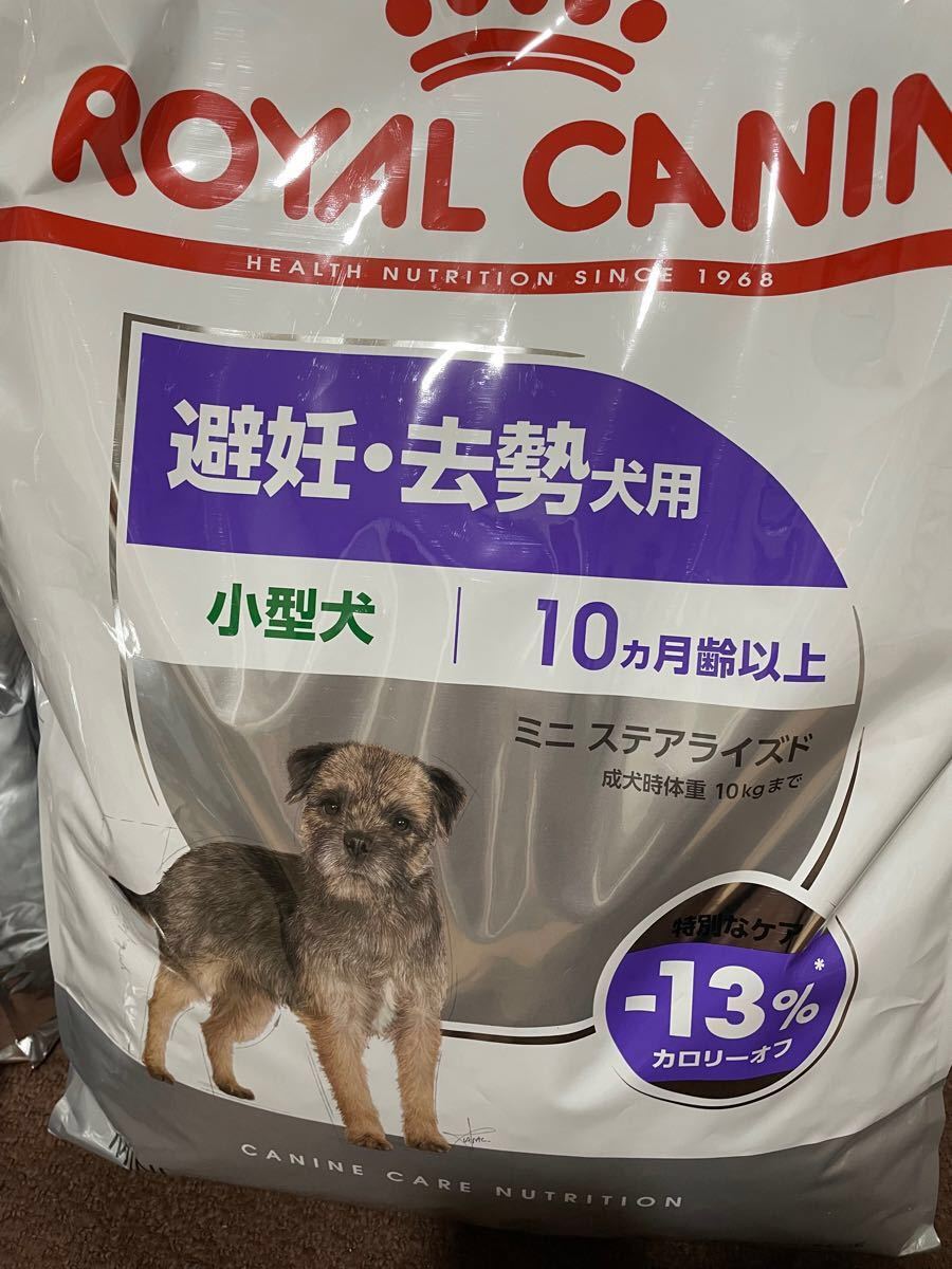 週末限定値下げロイヤルカナン ミニステアライズド8kg 避妊去勢犬用