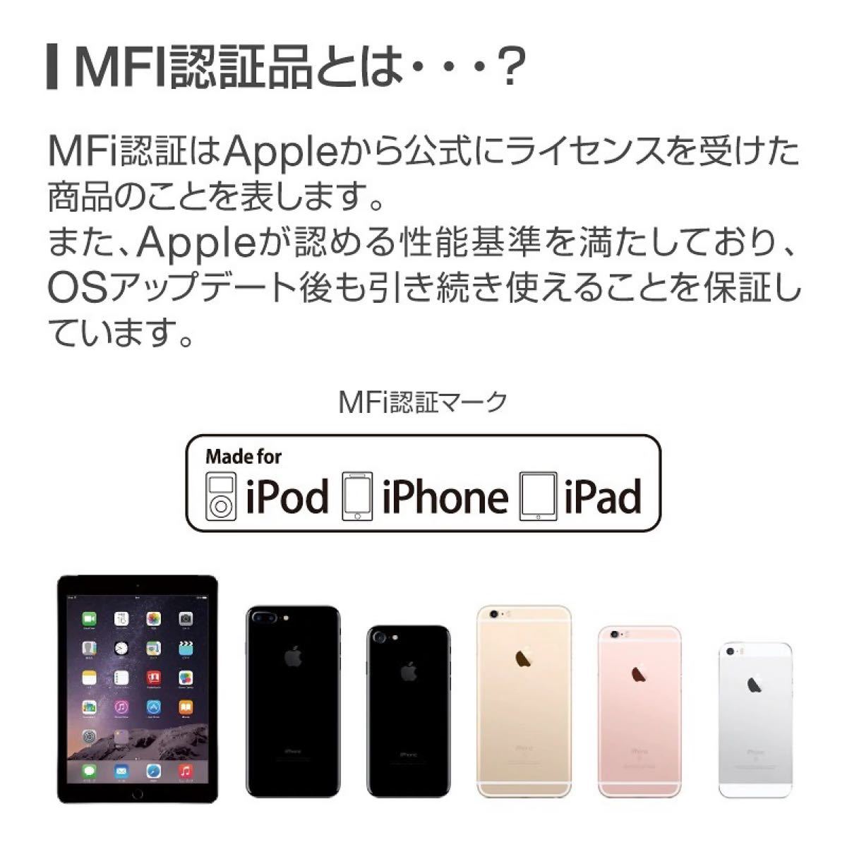 2m×10本まとめ売り iPhone・iPad用 ライトニングケーブル