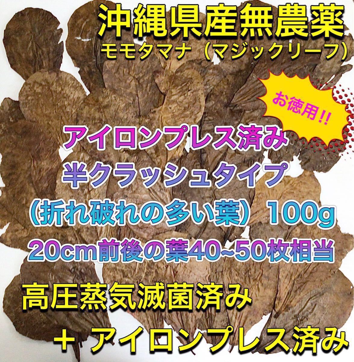 お取り寄せ】 高圧蒸気滅菌済み アイロンプレス済み沖縄県産無農薬モモタマナ お徳用 100g