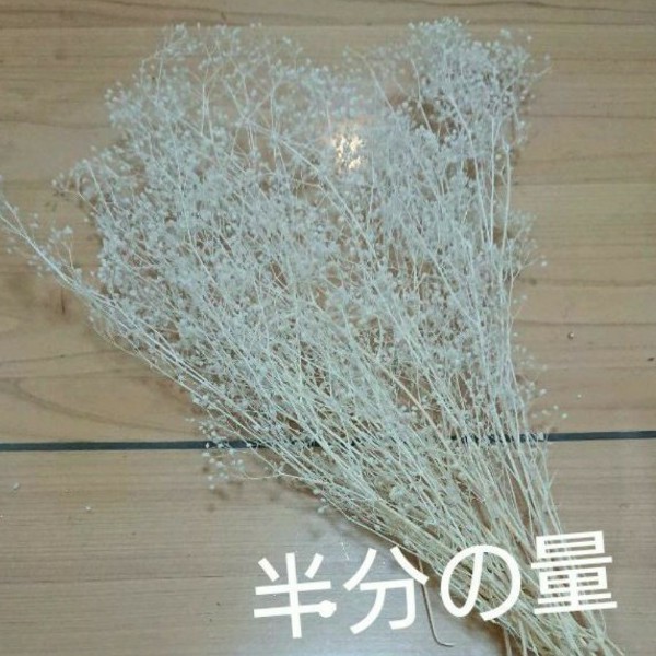 かすみ草 カスミ草 ホワイト 白 プリザーブド 花材 ドライフラワー ハンドメイド ハーバリウム メイクブラシはなかんむり大地農園