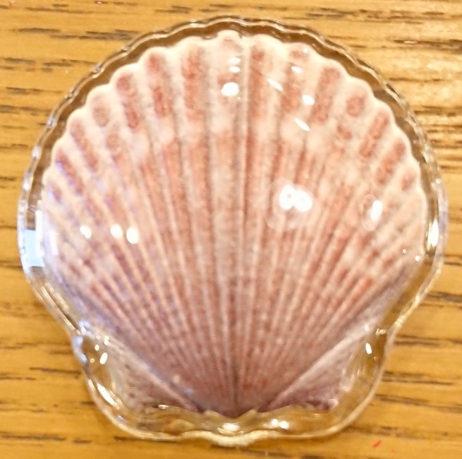 高速配送 ホタテ貝型 フィジー 19 1ドル 商品タグ型の品質保証書付き プルーフカラー銀貨 オセアニア Www Dc9 Club