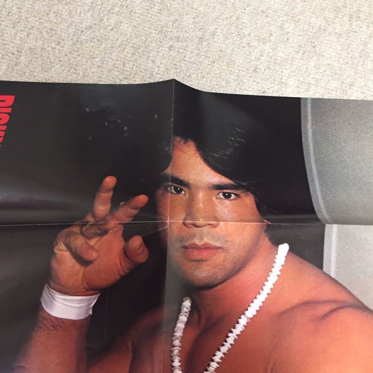 リッキー・スティームボード ポスター 全日本プロレス WWF 南海の黒豹_画像2