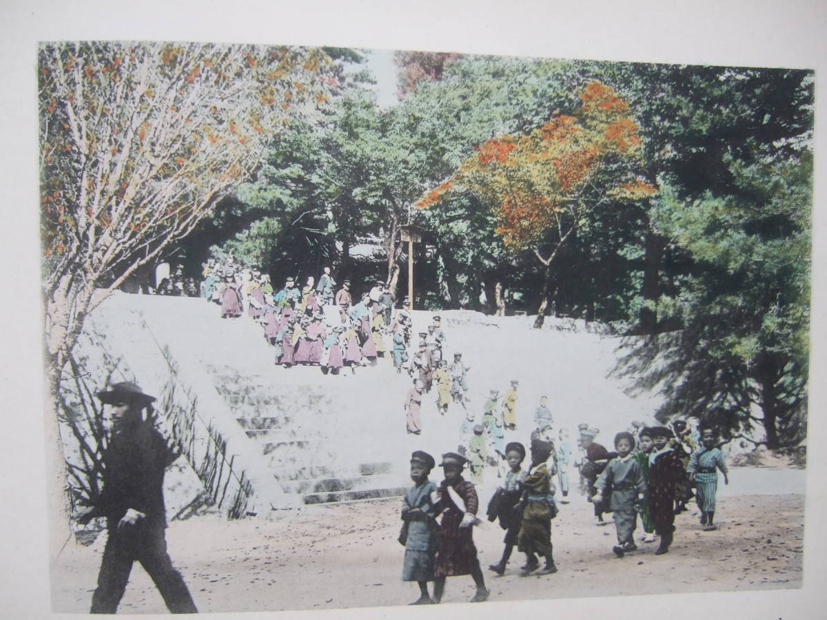 明治期コロタイプ彩色写真帖【日本児童の学校生活】 学校資料 写真20枚 教育 資料 尋常小学校 横浜写真 小学校 生徒 児童 学校