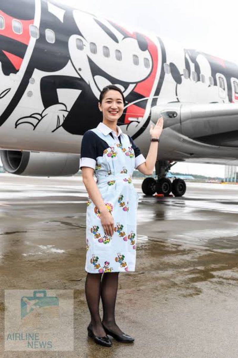 限定品】 JAL日本航空 キャビンアテンダントエプロン ピンク