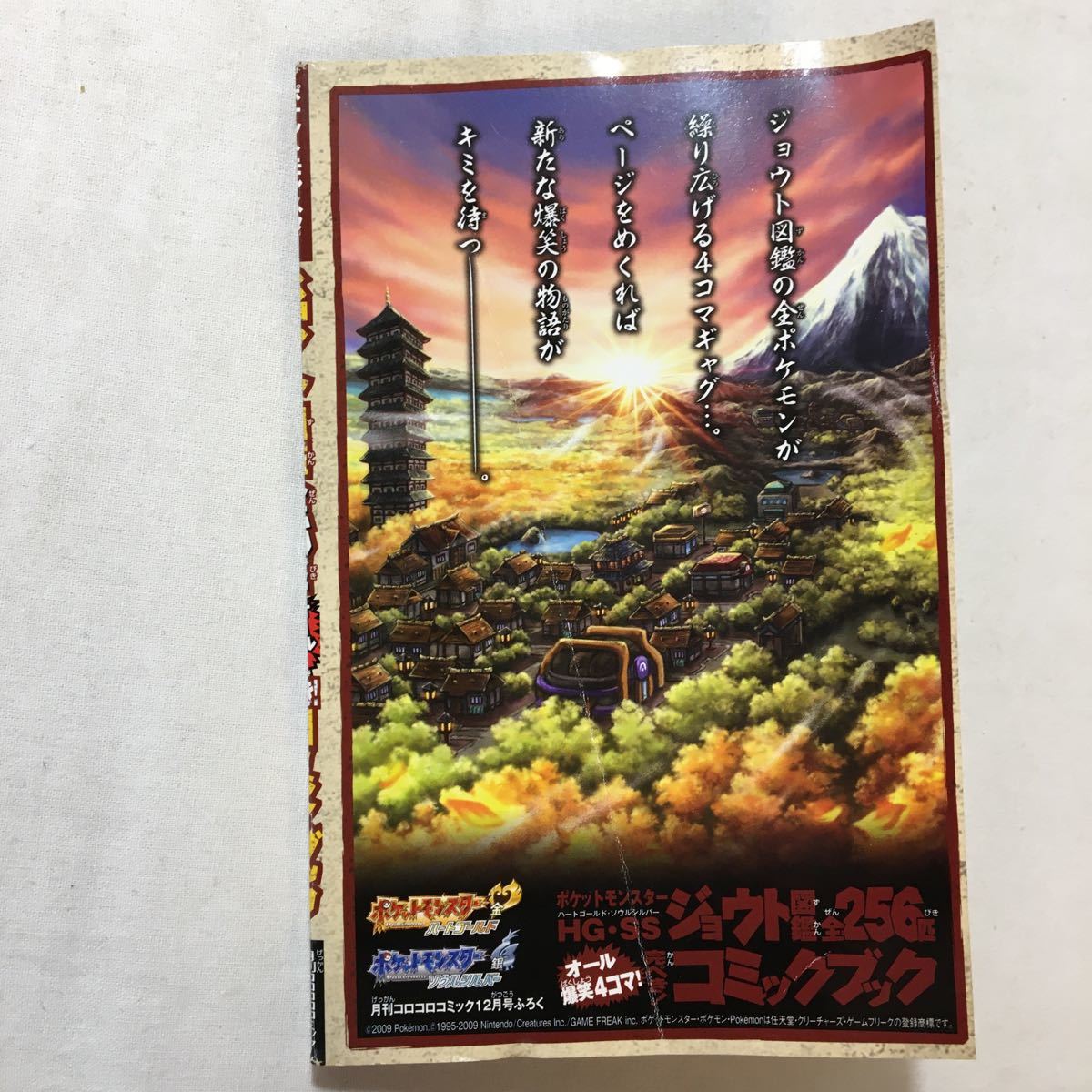 zaa-yc05 ポケットモンスターHG・SS ジョウト図鑑全256匹 オール zaa-yc05 ポケットモンスターHG・SS ジョウト図鑑全256匹 オール