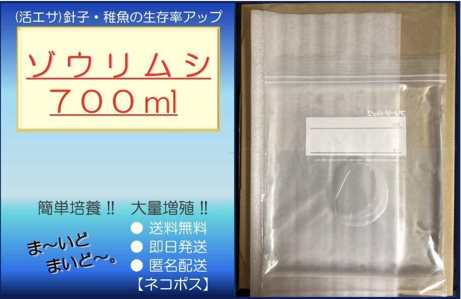 ●送料無料・匿名配送・即日発送● ゾウリムシ 700ml【めだか 針子・稚魚 金魚 シュリンプ 熱帯魚】活餌_画像1