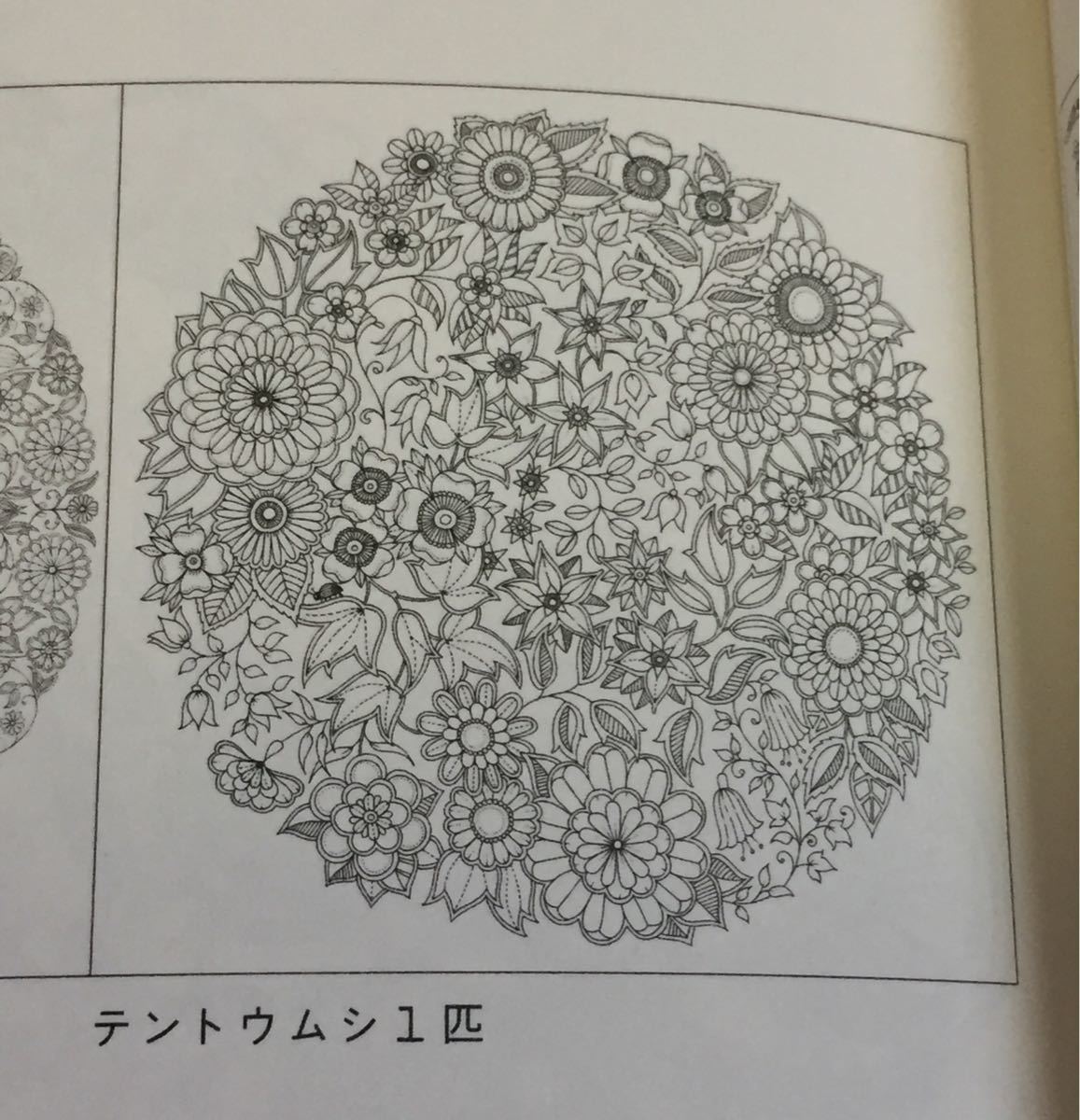 Paypayフリマ ひみつの花園 花いっぱいのぬりえブック 大人のぬりえ Paypayフリマ ひみつの花園 花いっぱいのぬりえブック 大人のぬりえ