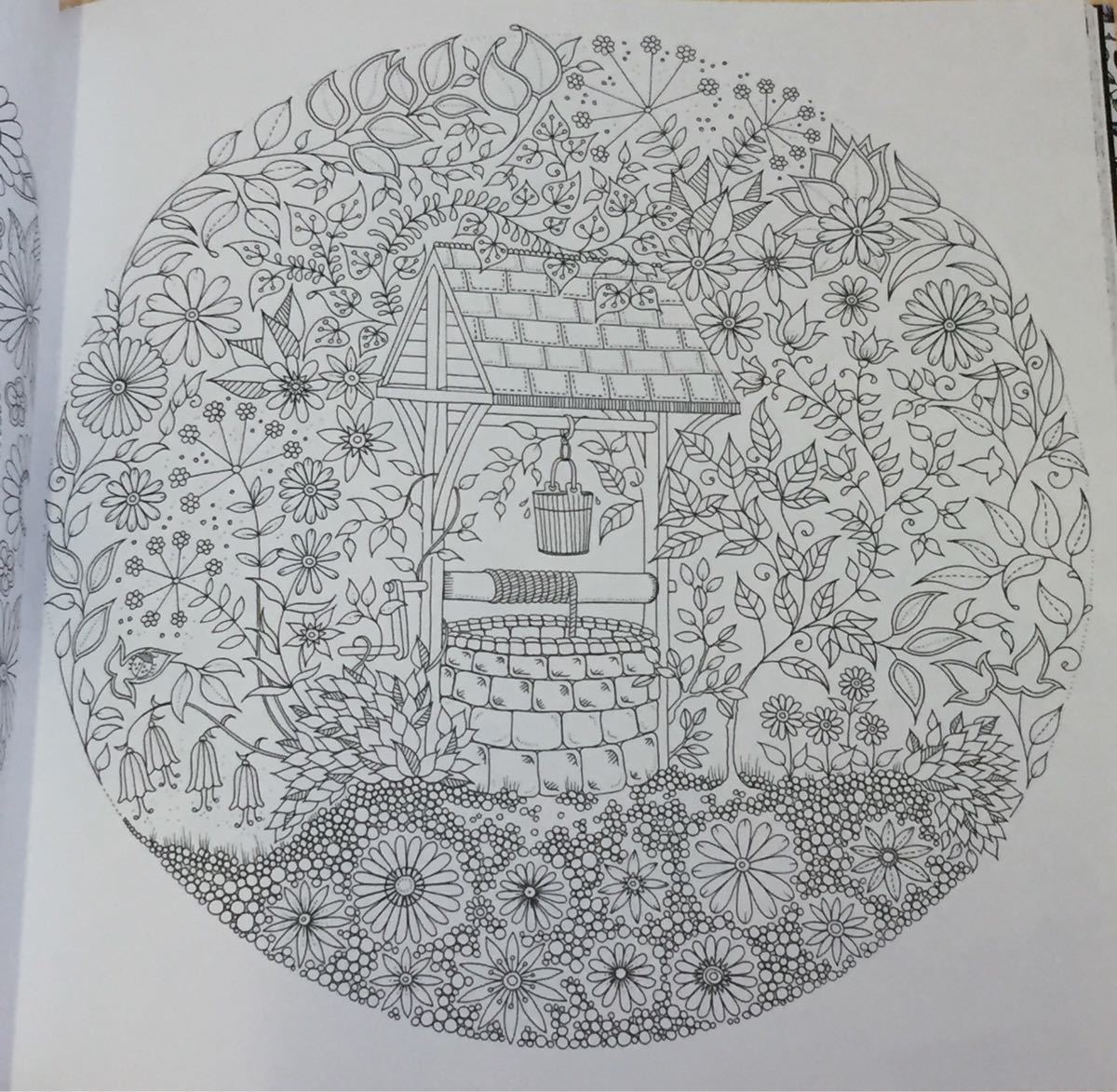 Paypayフリマ ひみつの花園 花いっぱいのぬりえブック 大人のぬりえ Paypayフリマ ひみつの花園 花いっぱいのぬりえブック 大人のぬりえ