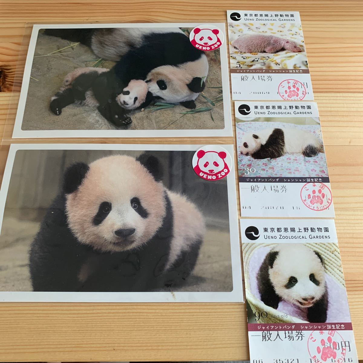 上野動物園 シャンシャン　ポストカード2枚　入園券半券3枚