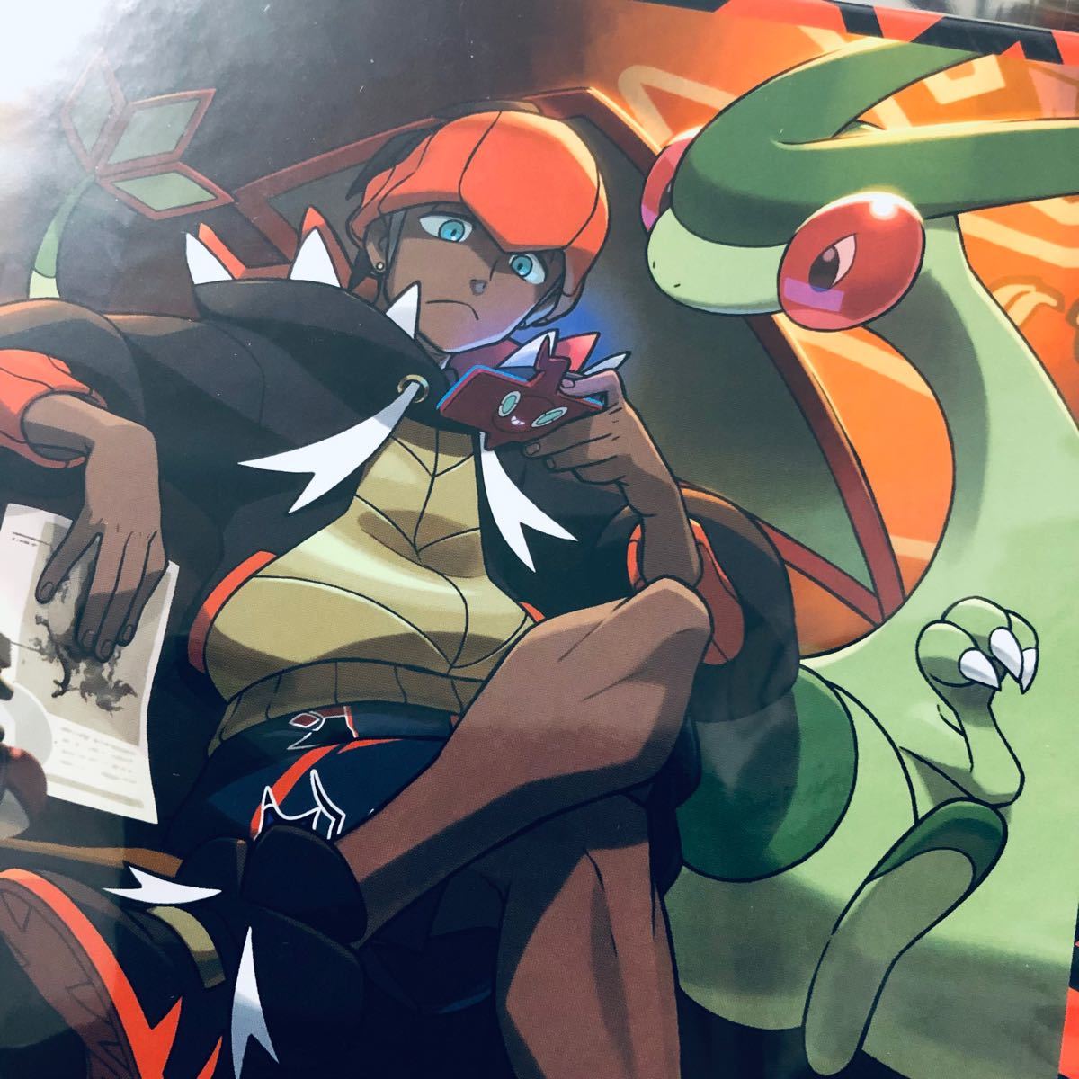 ポケモンカードゲーム トレーナーカードコレクション キバナの ポケモンカードゲーム トレーナーカードコレクション キバナの